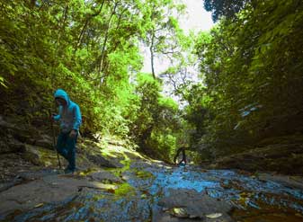 trekking